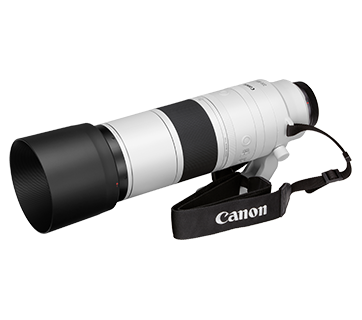 Canon RF200-800mm F6.3-9IS USM 保護レンズPL付き RF Lenses - RF200-800mm f/6.3-9 IS USM - Canon Singapore